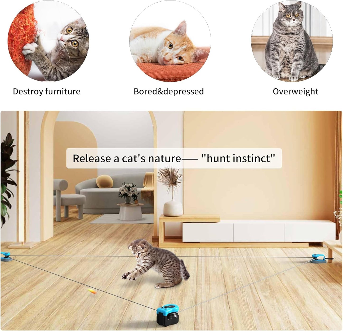 THE VIRAL KITTIE™ SMART CHASER