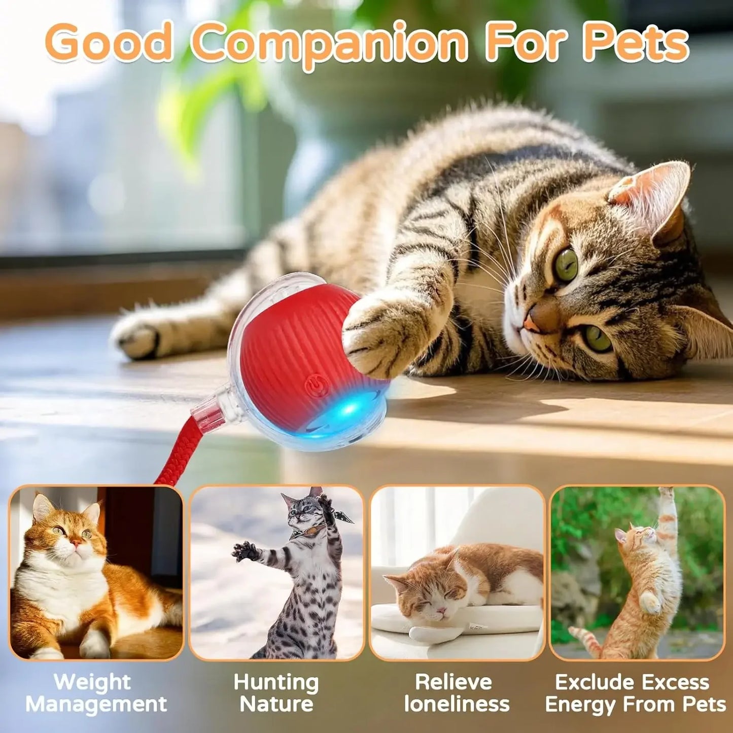 THE VIRAL KITTIE™ SMART ROLLER