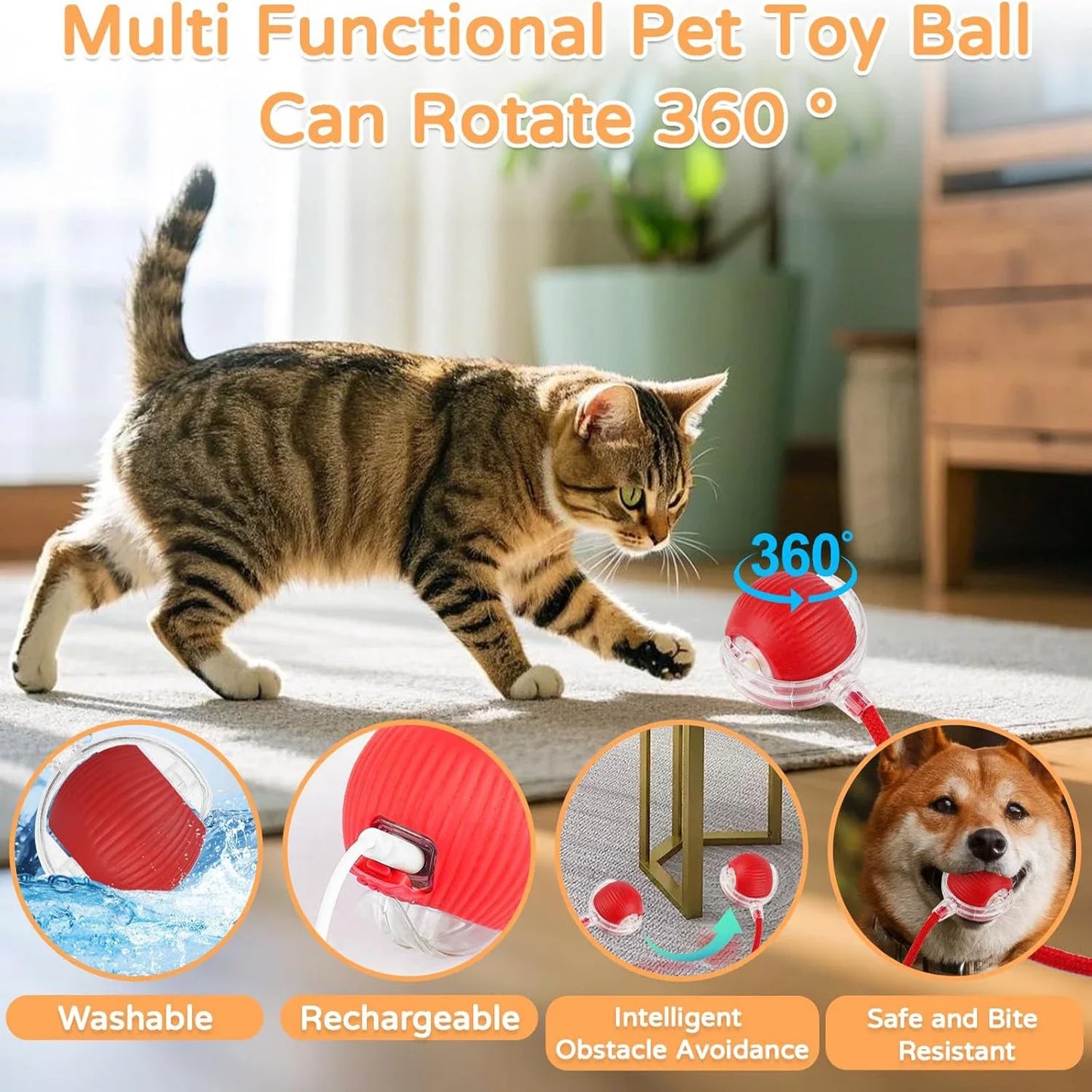 THE VIRAL KITTIE™ SMART ROLLER